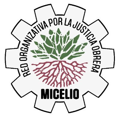 Micelio Rojo (Red Organizativa por la Justicia Obrera) colectiviza la vida digna de trabajadores en México