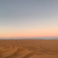 آمنه (@itsuouo) 's Twitter Profile Photo
