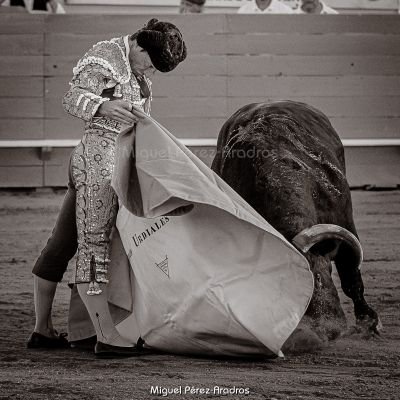 Aficionado a los toros.