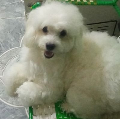 Katherine112312's profile picture. 