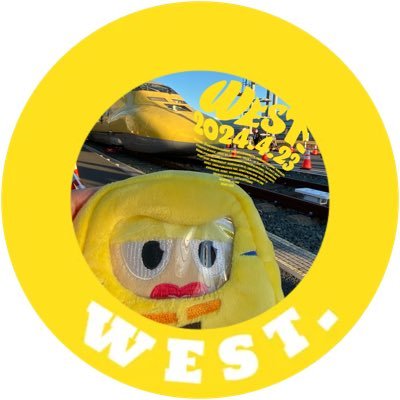 わっしょいなまこさんのプロフィール画像