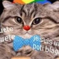 Romantada__'s profile picture. 