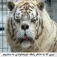 09174094905h (@09174094905h) 's Twitter Profile