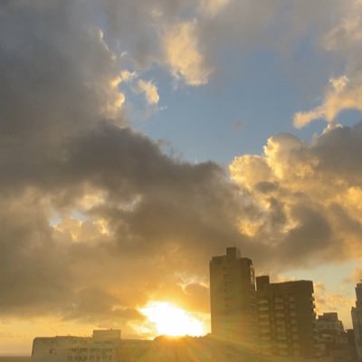 jorge_nicoleti2's profile picture. 