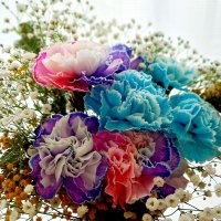 りんご(ringo💐) (@ysr_kp_ha) 's Twitter Profile Photo