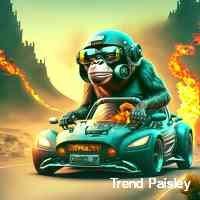 paislytred's profile picture. Drop you nft!