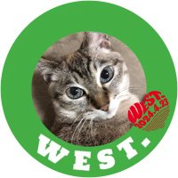 三条（猫）💚(@weareWEST15) 's Twitter Profile Photo