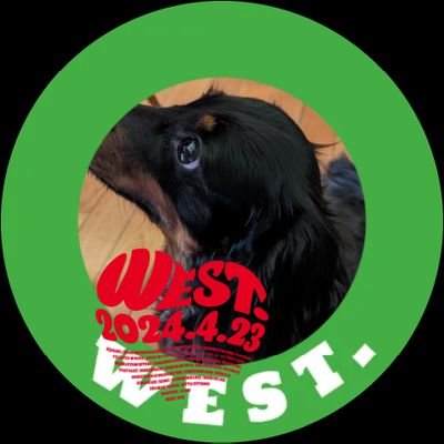 west_0423_kmsg Profile Picture