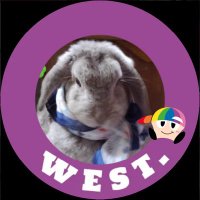 あんさん (@amkdg2dcby0woy7) 's Twitter Profile Photo