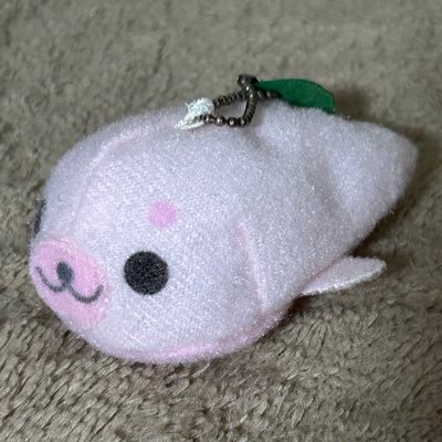 薄焼きめろんぱんさんのプロフィール画像
