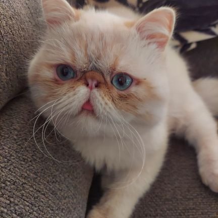 EckertDana1994's profile picture. Living Life..and Loving it.