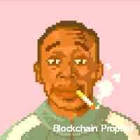 blockchainpr_o's profile picture. Follow me if you love nft dm is open only for business purpose. follow the instructions on the website link below to get proper reply from us.