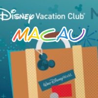 MACAU✨ (@macau_en) 's Twitter Profile Photo MACAU✨ (@macau_en) 's Twitter Profile Photo