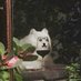 다먹음 (@i27_aq) Twitter profile photo 다먹음 (@i27_aq) Twitter profile photo