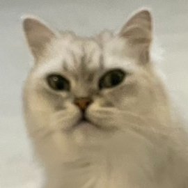 kei_crypto420's profile picture. #crypto 2017~ 
色々なDapps触って遊んでます