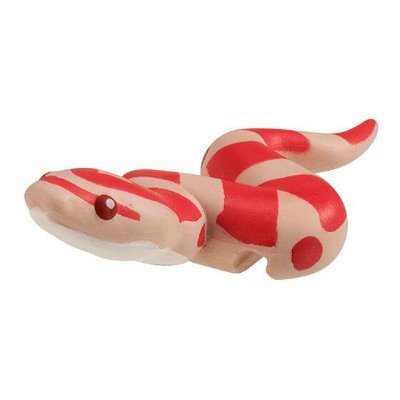 ナミヘビに心奪われました🐍 知識蓄え中。