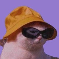 k (@_rdgc_) 's Twitter Profile