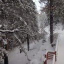 Joseph duprey - @Garthbr77594301 - Twitter