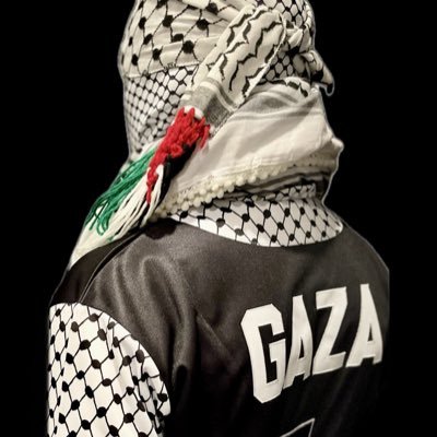 Semite 🇵🇸| Likes, RPs, follows not endorsements | #NetzarimCorridor |👀on NORTH GAZA | LONG LIVE PALESTINE, VICTORY TO THE RESISTANCE| startup founder #SMaaS