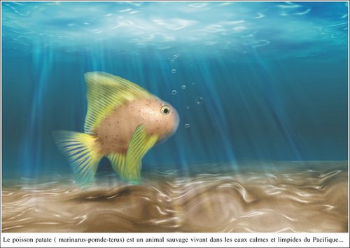 Le Poisson-Patate