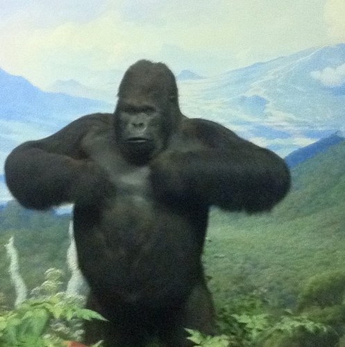 halbahaka's profile picture. vzlno simplemente y con el mejor deseo para vzla libertad  felicidad y paz para todos