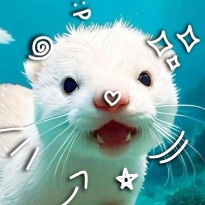 moominさんのプロフィール画像