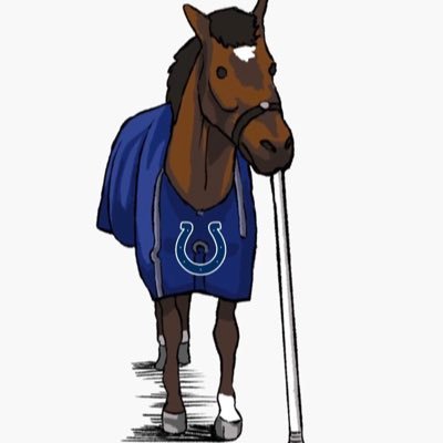 SportMooDog