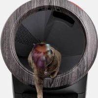 Hanzo's Litter Box*Meow*(@HanzosPissBuket) 's Twitter Profile Photo