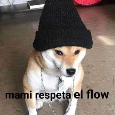 LogerS302's profile picture. 