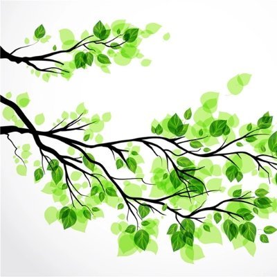 NguyenT75040368's profile picture. 