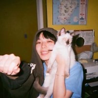 やむ (@myharkaneko) 's Twitter Profile Photo