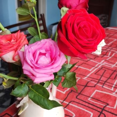 norazwzx's profile picture. Este 22 de octubre cumplo años igual que nuestro presidente,viva la libertad carajo.