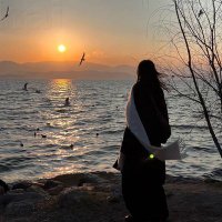 Fortherestofyourlife (@fortherest84030) 's Twitter Profile