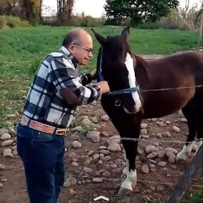 Talquino. Opinante por Naturaleza. Estadística.