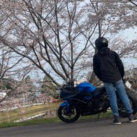 hiroto (@hi_ro_to_) 's Twitter Profile
