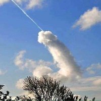 溺水的魚 (@fjlspddd) 's Twitter Profile