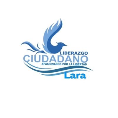 Coordinador de organización del movimiento LIDERAZGO CIUDADANO en Lara