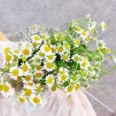 __lllai__'s profile picture. ☁️เป็นท้องฟ้า​หนึ่งเดียวของ🌪️
ไม่เหงาแล้วนะ เดย์น้อย🌅
ป๊าให้ยีราฟเลย🦒