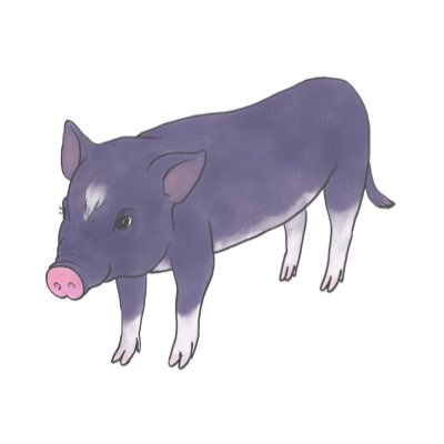 かわっぺり別名クシキノアイラさんのプロフィール画像