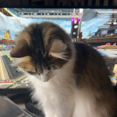 🎮垢だよー