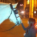 Drew Elise - @drew_elise_ - Twitter