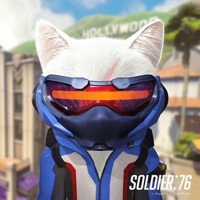 mashu_and's profile picture. 땅호예요