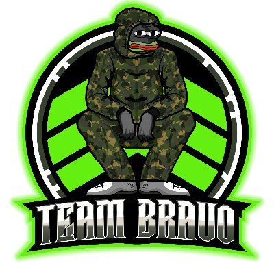 Team Bravo Multigaming ist ein deutscher Multigaming-Clan, der sich auf Shooter-Spiele spezialisiert hat und Spieler aus Deutschland vereint.