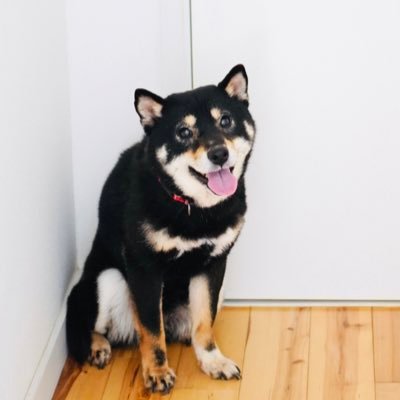 べちかさんのプロフィール画像