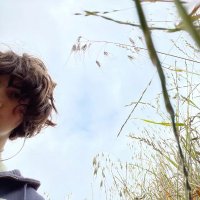 quedronol ๐ต๐ธ (@quedronol) 's Twitter Profile
