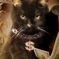 加密技師 (@poordreamer3) 's Twitter Profile