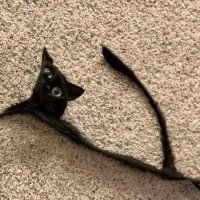 DemonTiming (@demontimin22) 's Twitter Profile