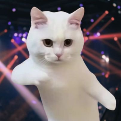 DancingCatToken Profile Picture