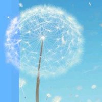 -|- (@2_1_2_1_2_1_) 's Twitter Profile