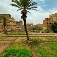 سالم عمر بادويلان (@badwylanmr14123) 's Twitter Profile